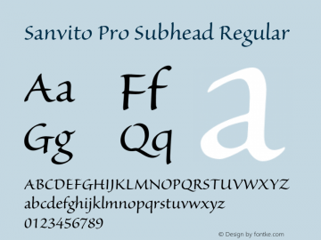 Sanvito Pro Subhead Regular OTF 1.003;PS 001.001;Core 1.0.31;makeotf.lib1.4.1585图片样张