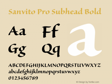 Sanvito Pro Subhead Bold OTF 1.003;PS 001.001;Core 1.0.31;makeotf.lib1.4.1585图片样张