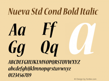 Nueva Std Cond Bold Italic Version 2.081;PS 002.000;hotconv 1.0.67;makeotf.lib2.5.33168图片样张