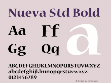 Nueva Std Bold OTF 1.018;PS 001.002;Core 1.0.31;makeotf.lib1.4.1585 Font Sample