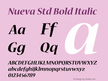 Nueva Std Bold Italic OTF 1.018;PS 001.002;Core 1.0.31;makeotf.lib1.4.1585图片样张