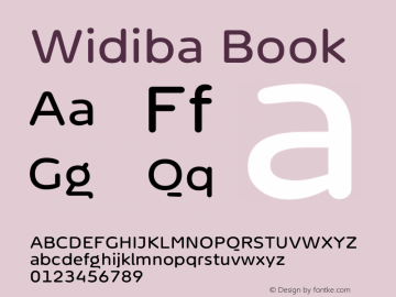 Widiba Book Version 0.009图片样张