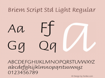 Briem Script Std Light Regular Version 1.040;PS 001.000;Core 1.0.35;makeotf.lib1.5.4492 Font Sample