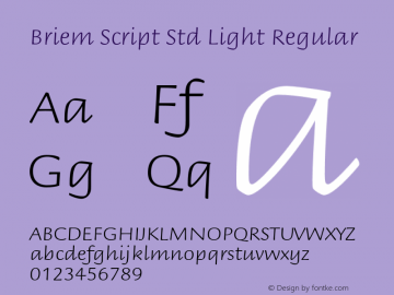 Briem Script Std Light Regular Version 2.030;PS 002.000;hotconv 1.0.51;makeotf.lib2.0.18671 Font Sample