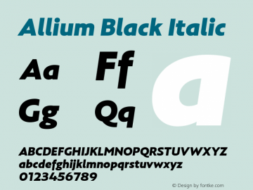 Allium Black Italic Version 1.000;PS 1.0;hotconv 1.0.86;makeotf.lib2.5.63406图片样张