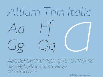 Allium Thin Italic Version 1.000;PS 1.0;hotconv 1.0.86;makeotf.lib2.5.63406图片样张