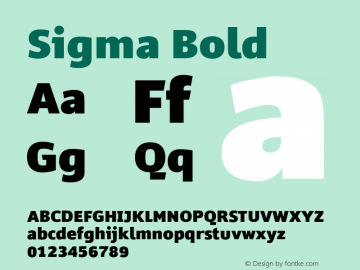 Sigma-Bold Version 1.003;hotconv 1.0.109;makeotfexe 2.5.65596图片样张