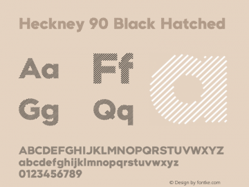 Heckney 90 Black Hatched 1.000图片样张