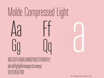 Molde Compressed Light 1.000图片样张