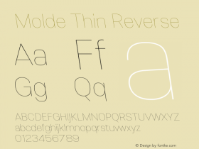 Molde Thin Reverse 1.000图片样张