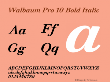 Walbaum Pro 10 Bold Italic 1.000 2006 initial release图片样张
