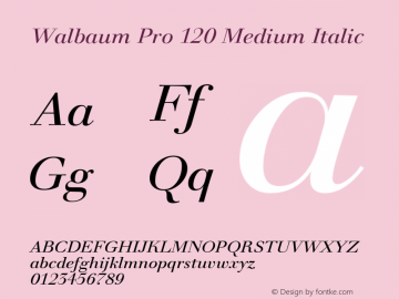 Walbaum Pro 120 Medium Italic 001.001图片样张