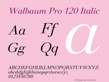Walbaum Pro 120 Italic 001.001图片样张