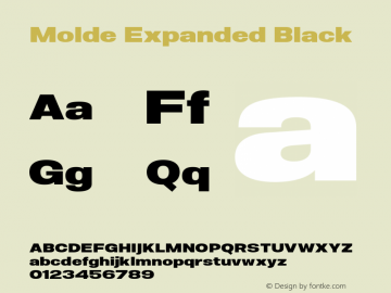 Molde Expanded Black 1.000图片样张