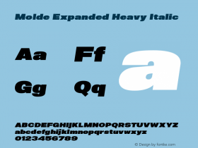 Molde Expanded Heavy Italic 1.000图片样张