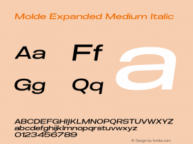 Molde Expanded Medium Italic 1.000图片样张
