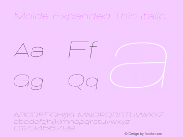 Molde Expanded Thin Italic 1.000图片样张