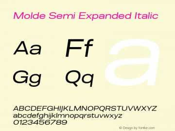 Molde Semi Expanded Italic 1.000图片样张