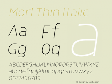Morl Thin Italic 1.000图片样张