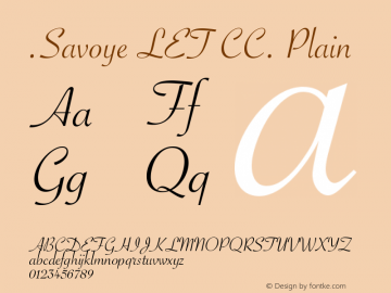 Savoye LET Plain CC.:1.0 13.0d2e4图片样张