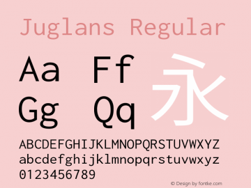 Juglans Regular Version 2.002.20210530图片样张