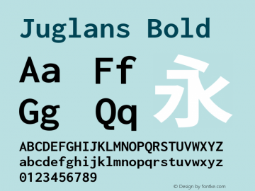 Juglans Bold Version 2.002.20210530图片样张