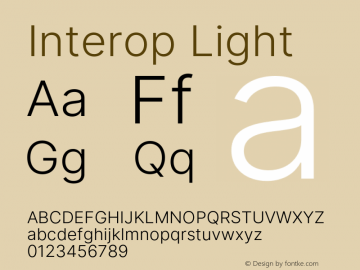Interop-Light Version 1.006图片样张