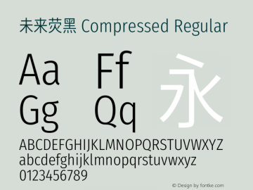 未来荧黑 Compressed Regular 图片样张