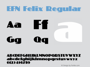 EFN Felix Version 2.0; 2000图片样张