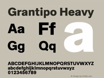 Grantipo Heavy Version 1.010图片样张