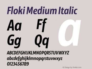 Floki Medium Italic Version 1.000;PS 001.000;hotconv 1.0.88;makeotf.lib2.5.64775图片样张