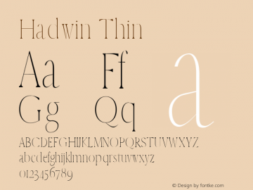 Hadwin Thin Version 1.0图片样张