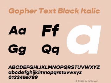 Gopher Text Black Italic Version 1.000;PS 001.000;hotconv 1.0.88;makeotf.lib2.5.64775图片样张