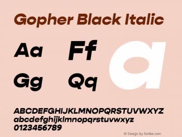 Gopher Black Italic Version 1.000;PS 001.000;hotconv 1.0.88;makeotf.lib2.5.64775图片样张