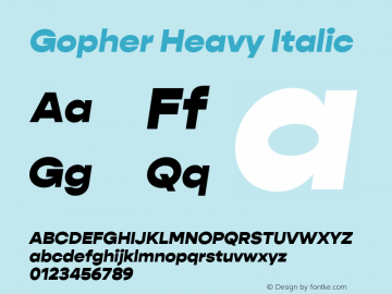 Gopher Heavy Italic Version 1.000;PS 001.000;hotconv 1.0.88;makeotf.lib2.5.64775图片样张