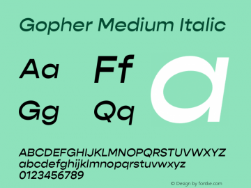 Gopher Medium Italic Version 1.000;PS 001.000;hotconv 1.0.88;makeotf.lib2.5.64775图片样张