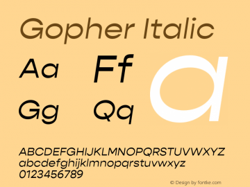 Gopher Italic Version 1.000;PS 001.000;hotconv 1.0.88;makeotf.lib2.5.64775图片样张