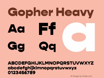 Gopher Heavy Version 1.000;PS 001.000;hotconv 1.0.88;makeotf.lib2.5.64775图片样张