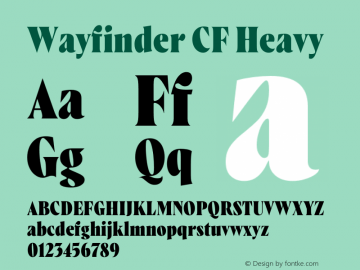 Wayfinder CF Heavy Version 1.000 | wf-rip DC20190625图片样张