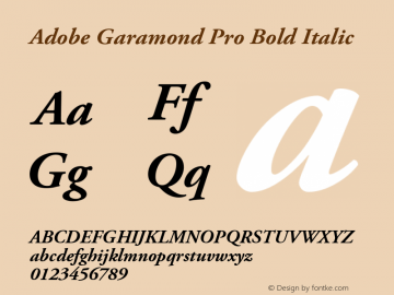 AGaramondPro-BoldItalic Version 2.040;PS 2.000;hotconv 1.0.51;makeotf.lib2.0.18671图片样张