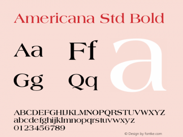 AmericanaStd-Bold Version 2.035;PS 002.000;hotconv 1.0.51;makeotf.lib2.0.18671图片样张