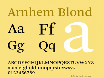 Arnhem Blond Version 2.011 | web-TT图片样张