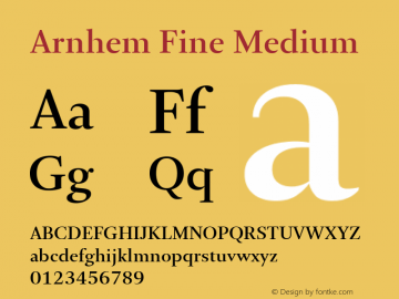 Arnhem Fine Medium Version 1.003; build 0001 | web-TT图片样张