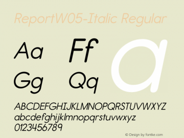 Report W05 Italic Version 2.10图片样张