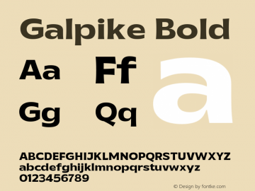 Galpike Bold Version 1.000图片样张