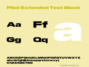 Pilat Extended Test Black Version 1.001;PS 1.1;hotconv 1.0.88;makeotf.lib2.5.647800 DEVELOPMENT图片样张