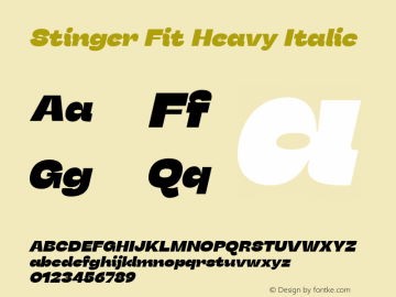 Stinger Fit Heavy Italic Version 1.006;hotconv 1.0.109;makeotfexe 2.5.65596图片样张