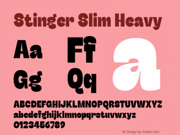 Stinger Slim Heavy Version 1.006;hotconv 1.0.109;makeotfexe 2.5.65596图片样张