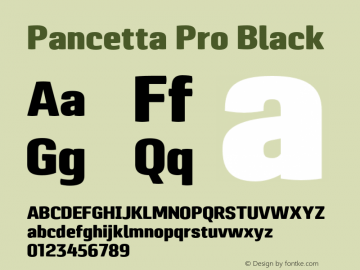 Pancetta Pro Black Version 001.000图片样张