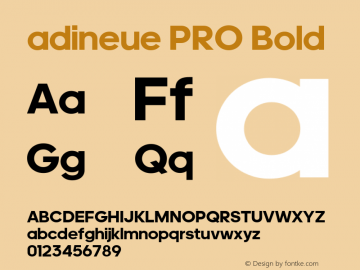 adineue PRO Bold Version 1.000;PS 1.0;hotconv 1.0.72;makeotf.lib2.5.5900图片样张